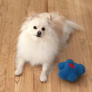 Meet your Posher, Andrew